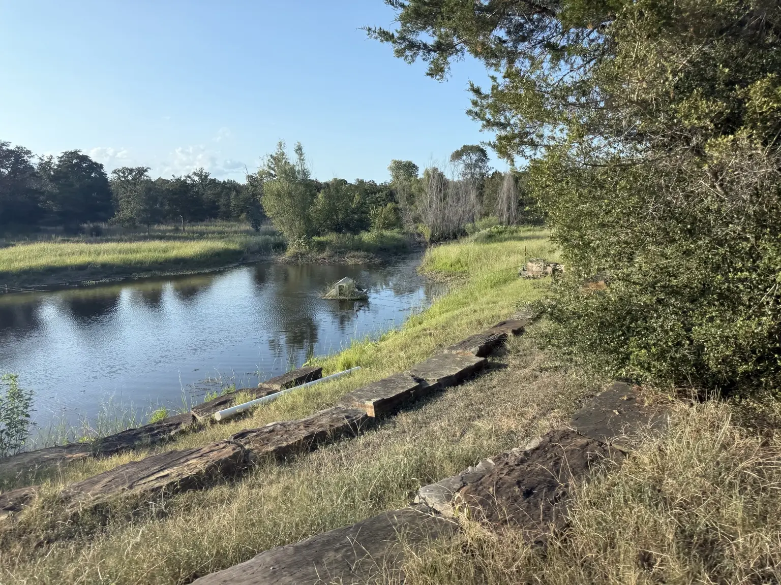 Quiet water and established woodland